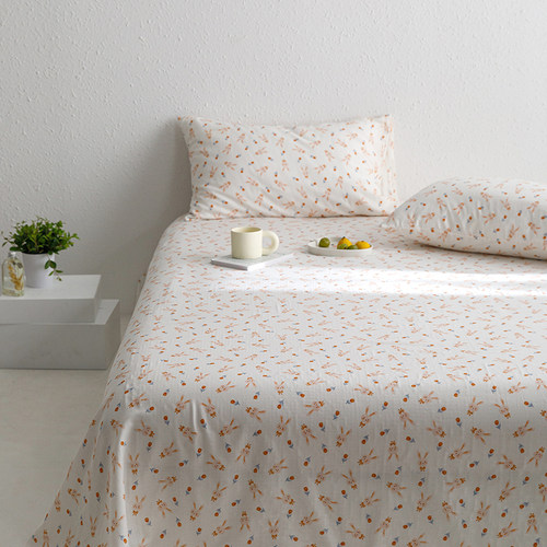 A类小清新ins风双层纱床单单件