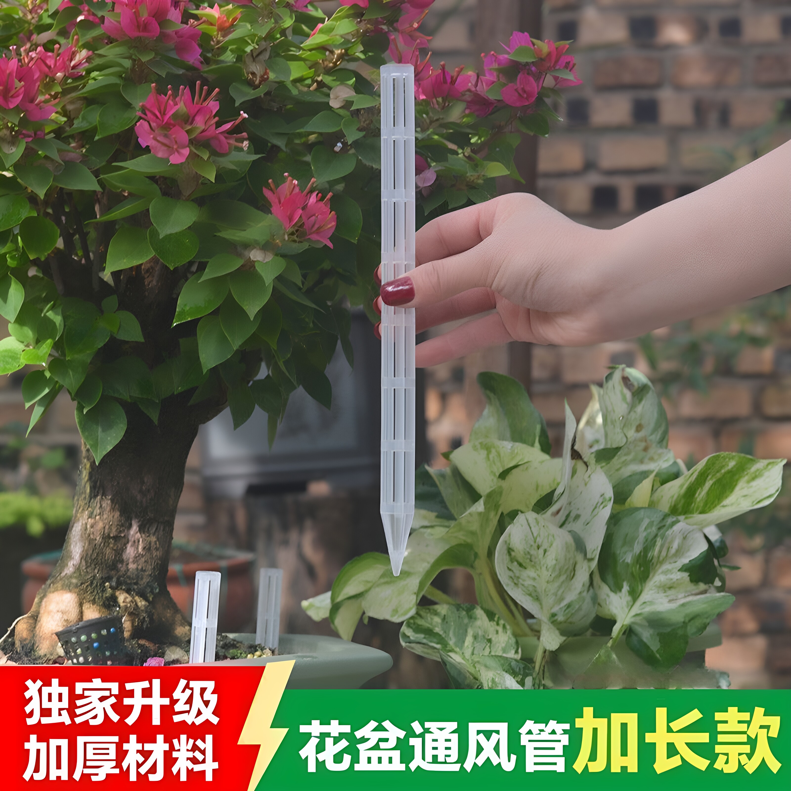花盆土壤透气通风管加长款盆景大花盆通风神器通气管防烂根排气管