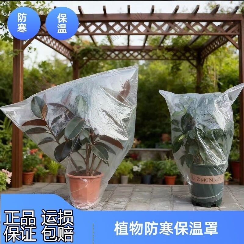 透明加厚植物防寒罩冬季防冻保温保湿袋套盆栽绿植花卉过冬保护罩