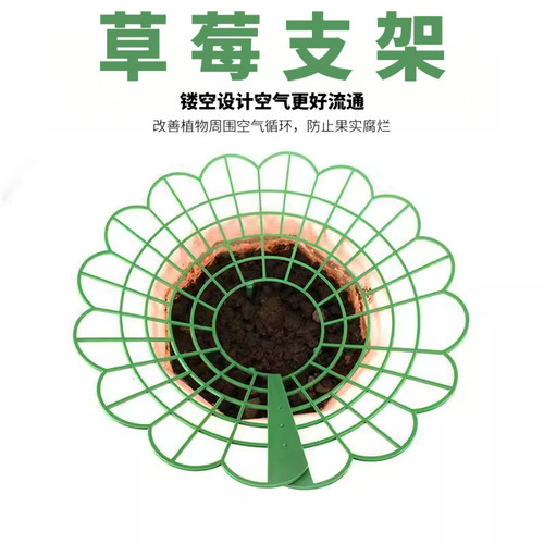 家庭草莓种植支架托架