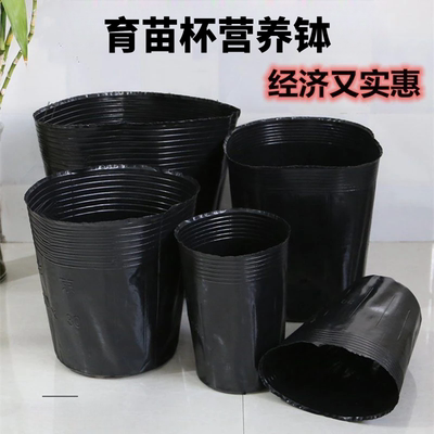 营养袋育苗袋一次性培苗黑塑料育苗盆营养钵营养杯育苗杯培育育种