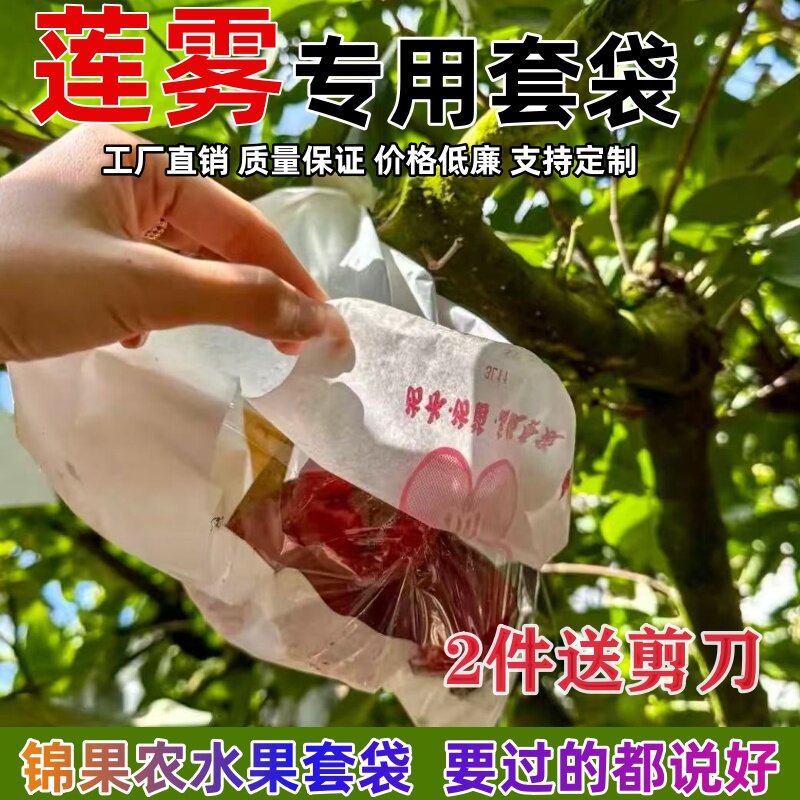 莲雾套袋专用袋防虫防鸟保护袋莲雾枇杷袋子厂家直销量大优惠包邮