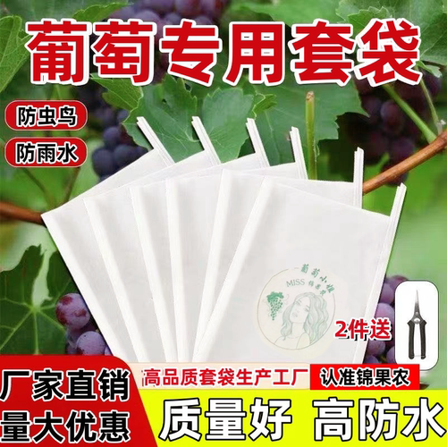 露天葡萄专用防水套袋葡萄包装袋