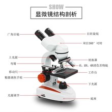 便携式电子手机10000倍微型显微镜1
