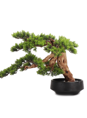 新中式风仿真别墅软装盆景罗汉松