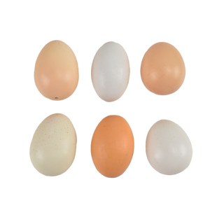 实心木质仿真鸡蛋模型塑料假蛋鸭蛋鸵鸟蛋幼儿园儿童绘画玩具道具