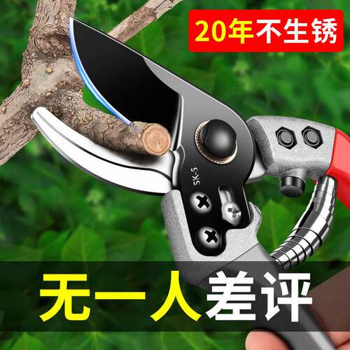 日本原装剪刀修枝剪园艺剪刀sk5修花修树枝专用剪刀果树粗枝剪子