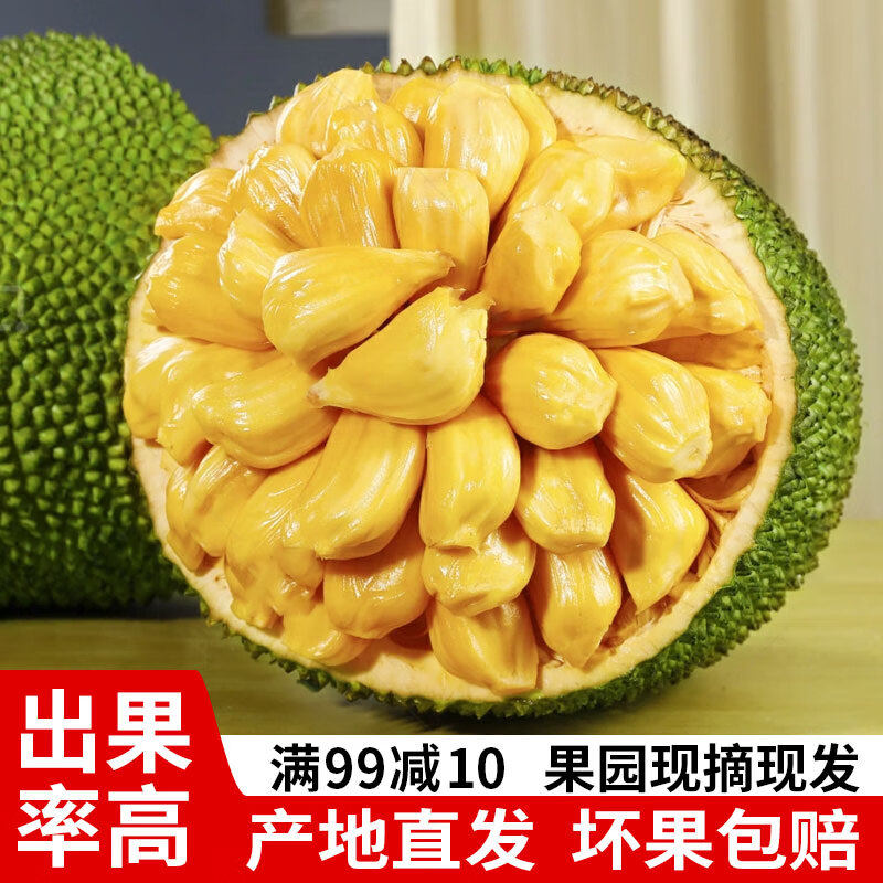 海南黄肉菠萝蜜15-35斤当季新鲜水果热带黄心菠萝蜜整个 源头直发