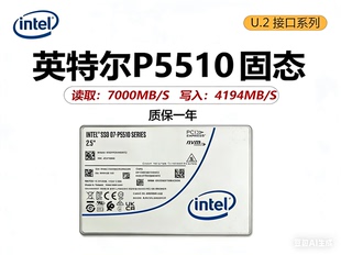 3.84T P5520 7.68T企业固态硬盘 英特尔P5510 英特尔Intel