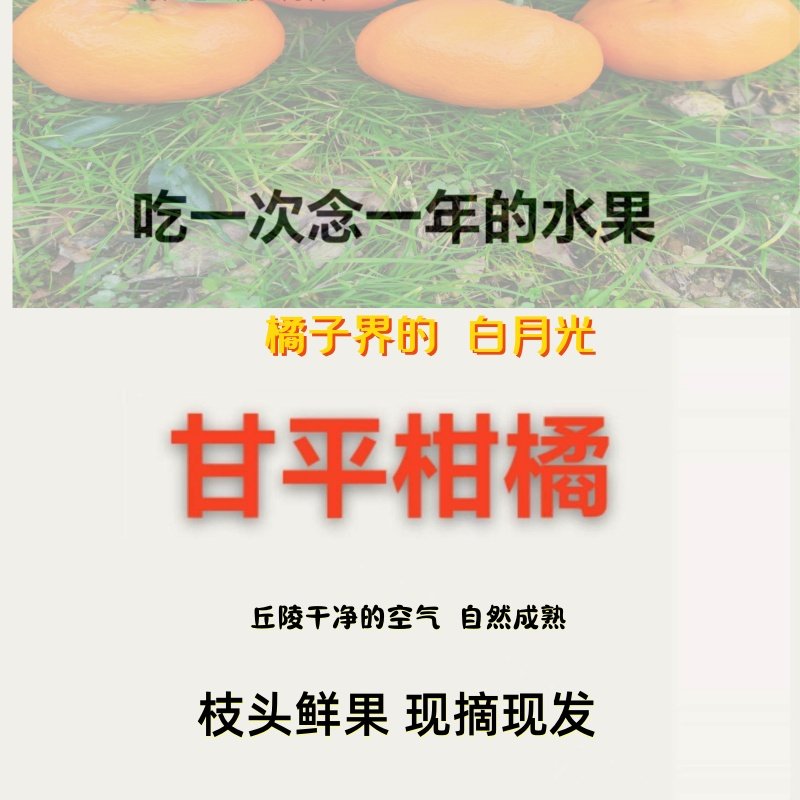 当季新鲜甘平柑橘孕妇水果小金牛现摘商超品质果农直卖大橘多汁,水产肉类/新鲜蔬果/熟食,桔子,淘宝优惠券,粉丝福利购,淘宝优惠卷