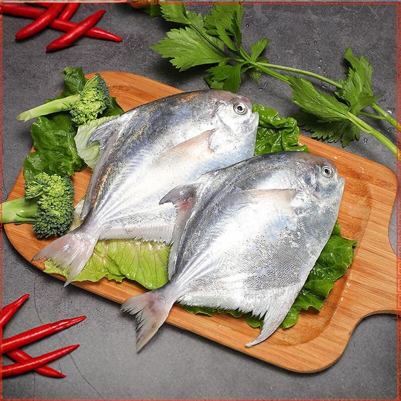 2024特大新鲜银鲳鱼鱼海鲜水产