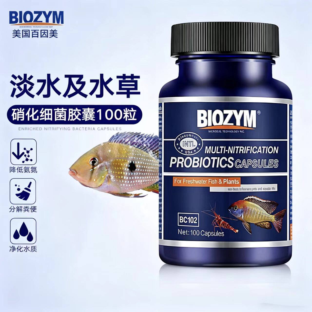 硝化细菌百因美龙鱼胶囊硝化细菌图片