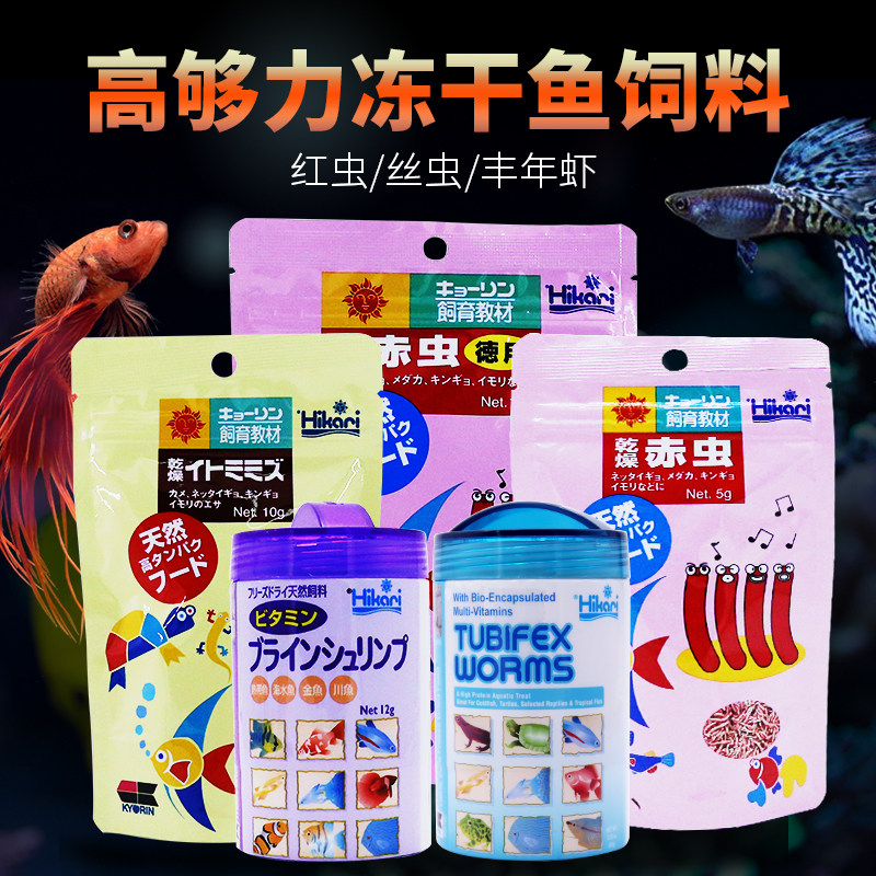 高够力孔雀鱼六角恐龙增色丰年虾