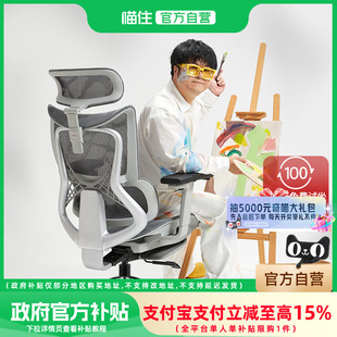 歌德利P2胖子人体工学椅大码大体重电脑椅子舒适久坐电竞椅办公椅