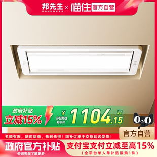 隐形电动晾衣架小尺寸小空间晾晒神器M35 邦先生侧装 补贴15%