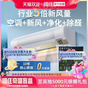 EBC空气环境机新风空调挂机1.5匹净化除甲醛儿童健康 政府补贴