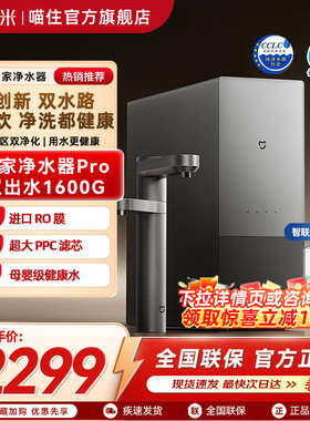 小米米家净水器Pro 双出水 1600G家用厨房直饮大水量分区双净化