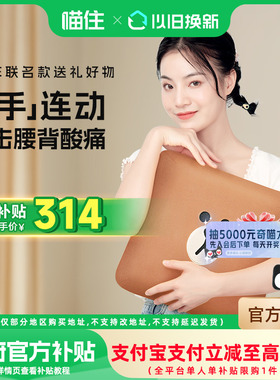 OGAWA/奥佳华奥佳华腰部按摩器背部按摩仪腰椎热敷按摩枕2206