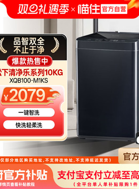 松下清净乐10KG波轮洗衣机 阻尼开合羊毛洗 防缠绕XQB100-M1KS