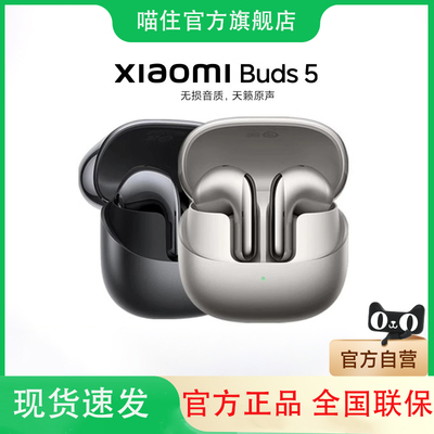 小米Xiaomi Buds5 真无线降噪蓝牙耳机 半入耳式舒适佩戴
