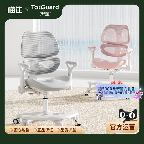 【TotGuard】护童学习椅儿童可升降写字椅学生家用学习椅G501