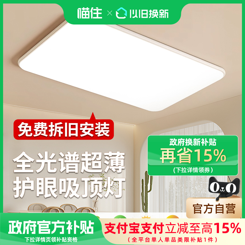 爱德朗全光谱护眼客厅大灯简约高亮吸顶灯书房卧室灯