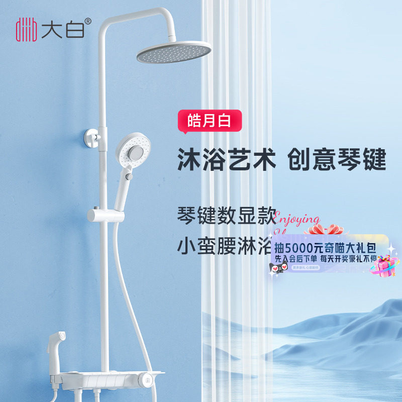 diiib厦门大白钢琴键全铜淋浴花洒套装卫生间白色简约圆形置物台