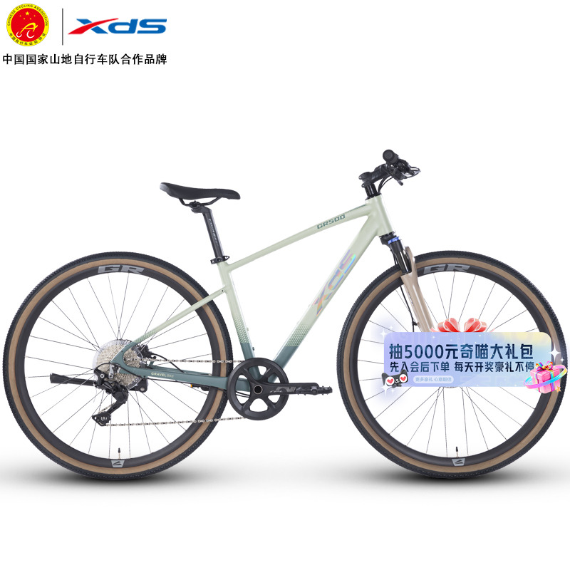 xds喜德盛跨界平把自行车GR500禧玛诺10速铝合金变速骑行单车