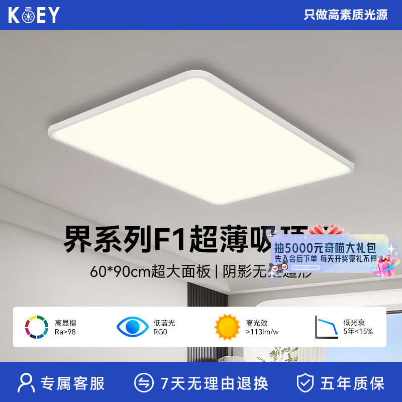 KOEY柯易界系列吸顶灯客厅主灯卧室书房护眼灯遥控器灯具简约现代