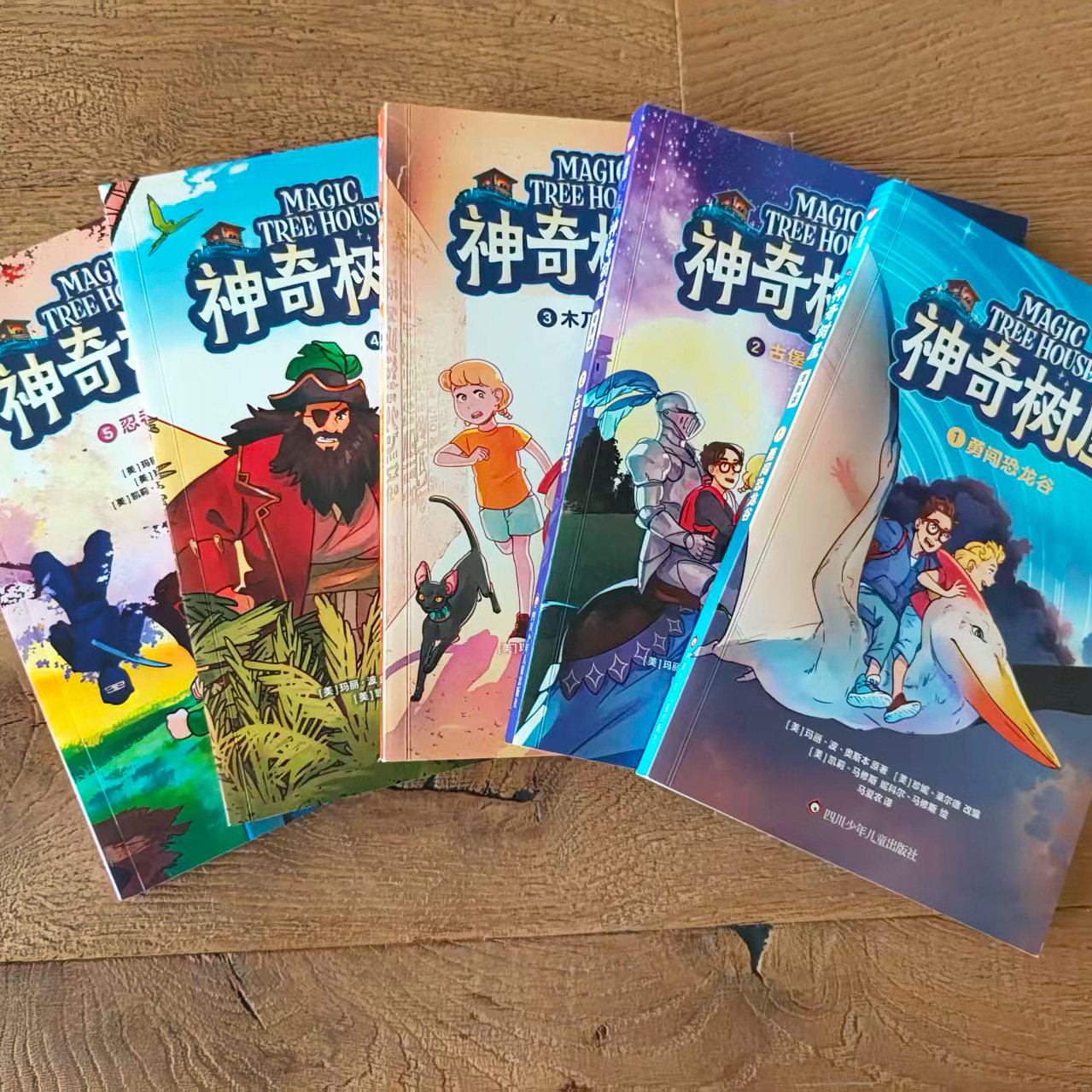漫画版神奇树屋全彩1-5册图片