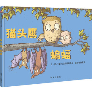 宝宝起步走：猫头鹰 蝙蝠 8周岁儿童绘本宝宝启蒙书 信谊图书旗舰店 幼儿园绘本早教书儿童读物信谊睡前故事书 李坤珊推荐
