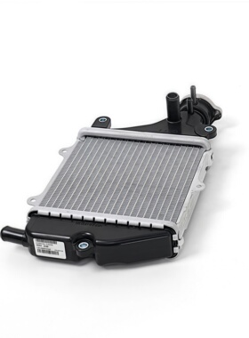 标致SF4姜戈new Django QP150T-3C/E/G原厂配件 水箱散热器总成