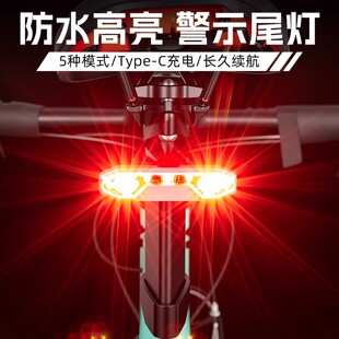 适用dahon大行P8D7D6D9D10/kbc083/K3plus骑行尾灯夜间警示车灯