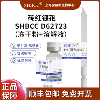 砖红镰孢冻干粉SHMCC现货