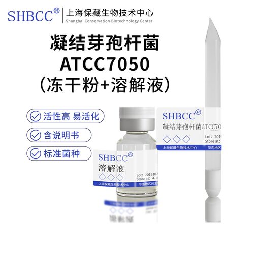 凝结芽孢杆菌ATCC7050模式菌株