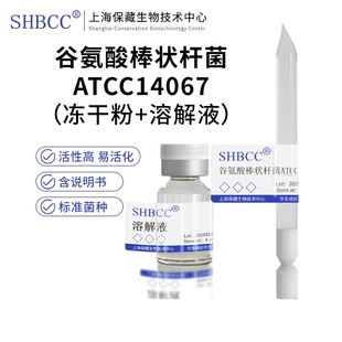 谷氨酸棒状杆菌产谷氨酸ATCC14067营养琼脂培养基活化试管甘油菌