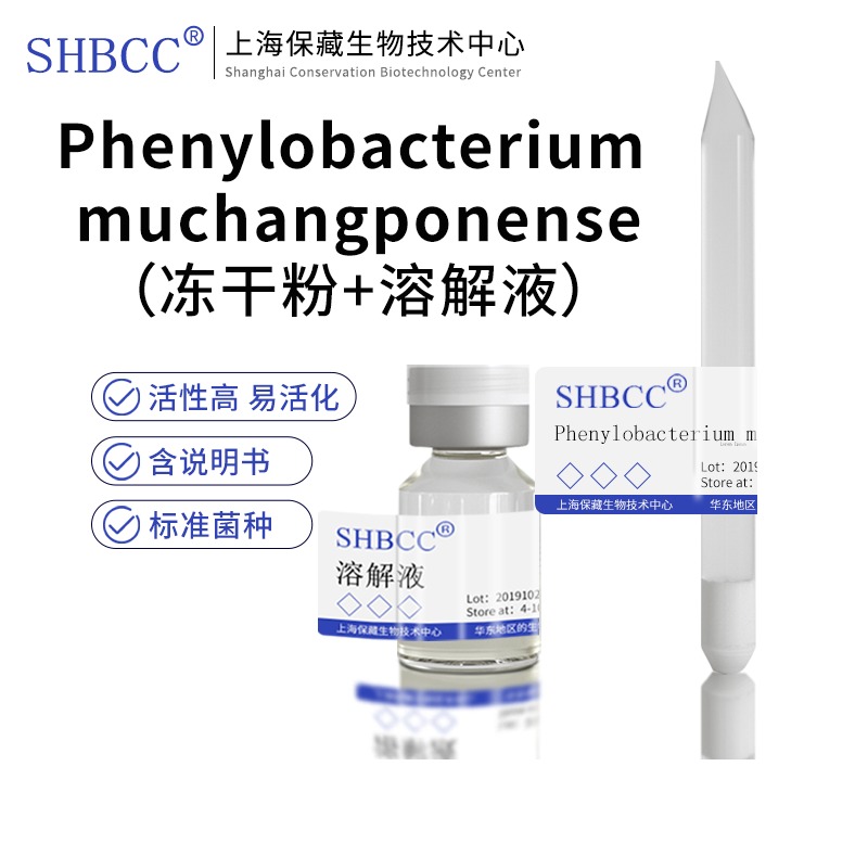 LMG25973冻干粉SHBCC菌种培养