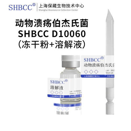动物溃疡伯杰氏菌SHMCC冻干粉