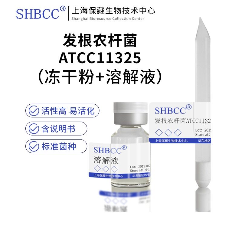 发根农杆菌atcc11325诱导发根菌种标准菌株营养肉汁琼脂30度活化