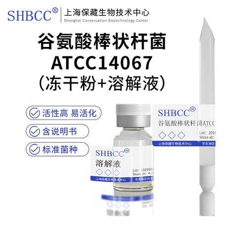 谷氨酸棒状杆菌ATCC14067冻干粉