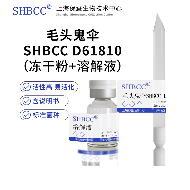 shmcc毛头鬼伞综合PDA琼脂斜面