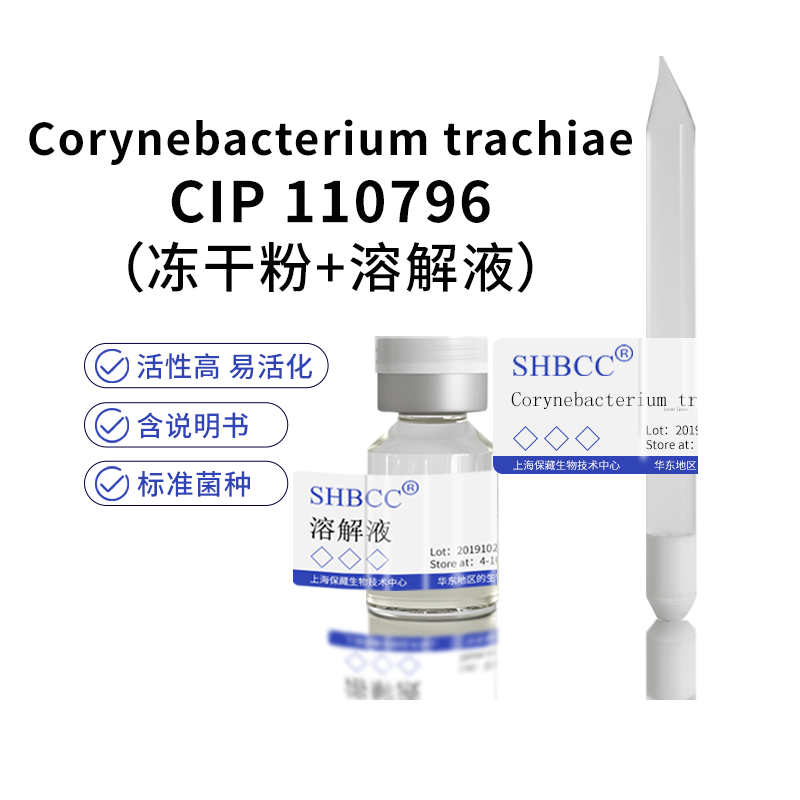 包邮 冻干粉 corynebacterium trachiae cip 110796 0代菌种