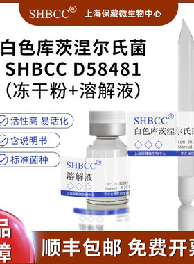 白色库茨涅尔氏菌 模式菌株ISP-2培养基28℃培养冷藏4-10℃冻干物
