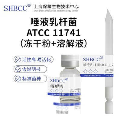 唾液乳杆菌ATCC 11741冻干粉模式菌株MRS培养基28度培养活化