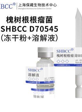 槐树根根瘤菌SHBCC D70545非模式菌株固氮培养基28℃培养冷藏4-10