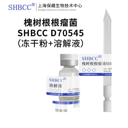 shmcc槐树根根瘤菌固氮培养基