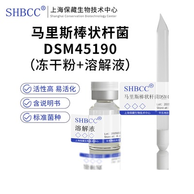 马里斯棒状杆菌DSM45190冻干粉