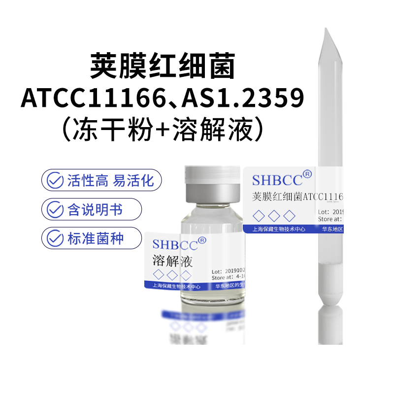 荚膜红细菌ATCC11166光合细菌AS1.2359液体厌氧静置钨丝灯光照培