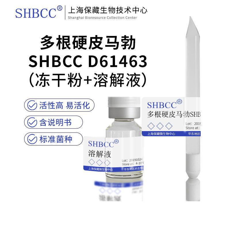 多根硬皮马勃shbcc d61463非模式菌株综合pda琼脂25℃培养冷藏冻