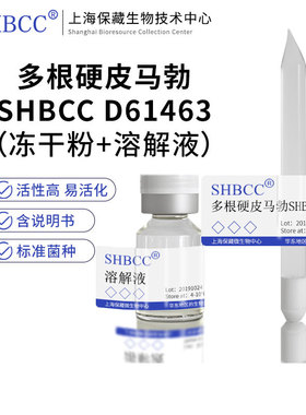 多根硬皮马勃SHBCC D61463非模式菌株综合PDA琼脂25℃培养冷藏冻